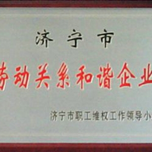 市級勞動關系和諧企業(yè)